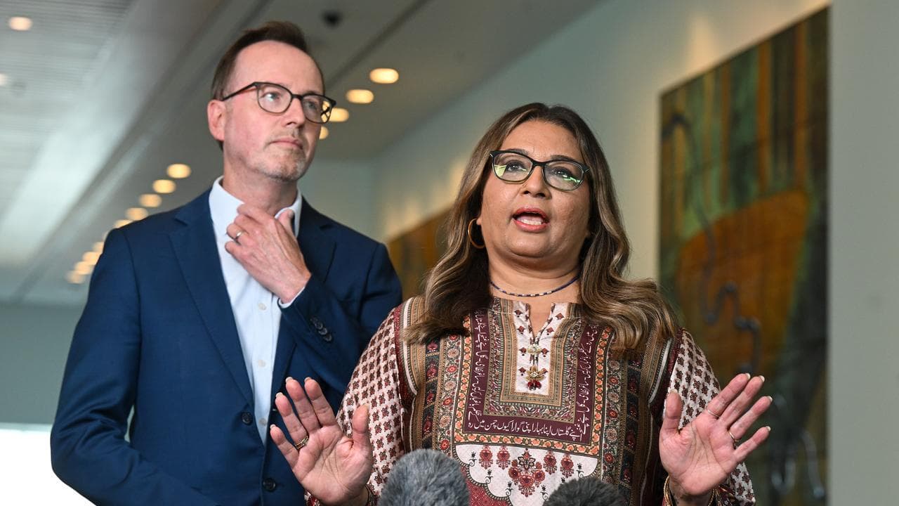 Greens senators Mehreen Faruqi and David Shoebridge