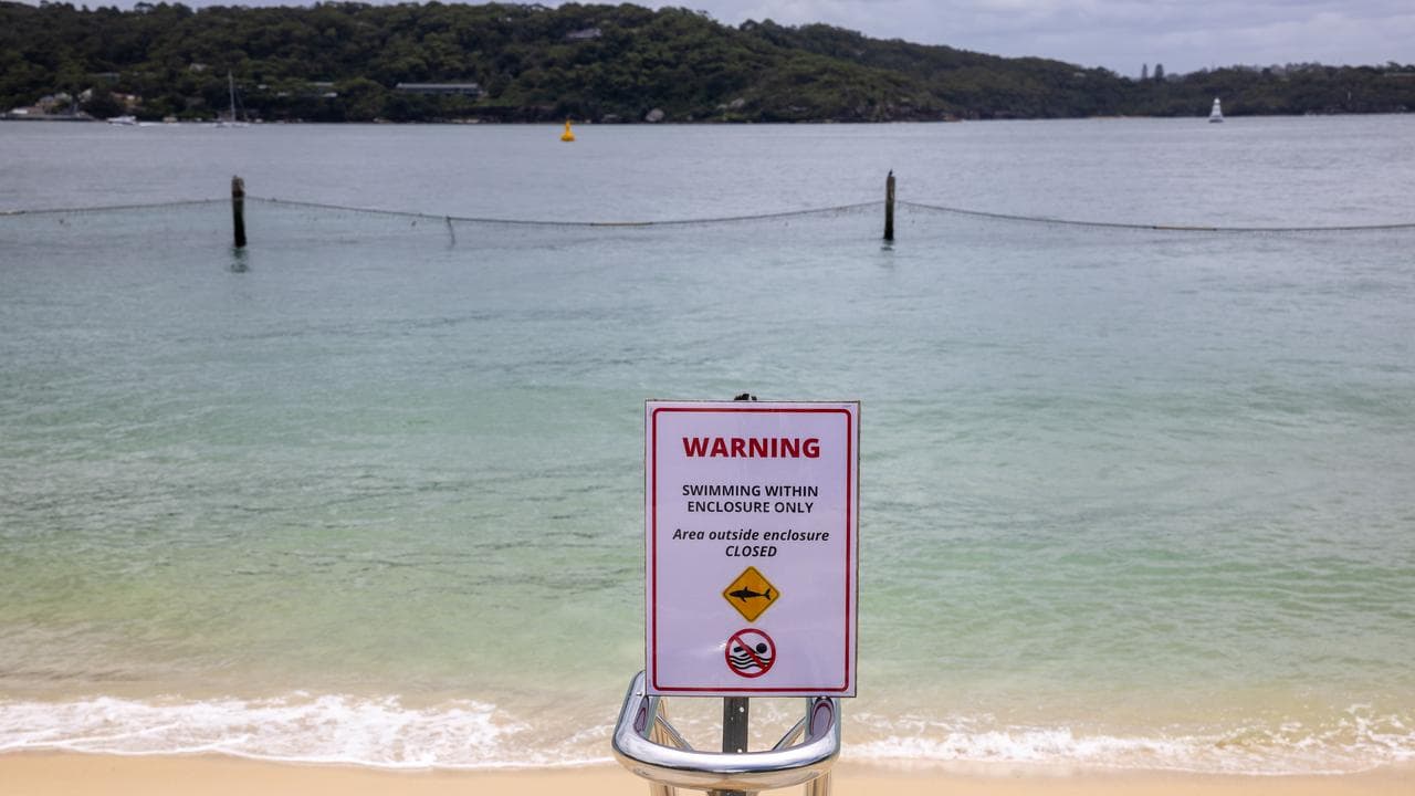 SHARK BEACH ATTACK SYDNEY