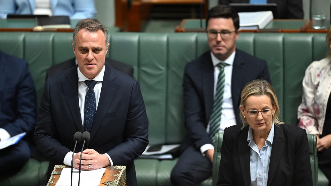 Tim Wilson speaks during Question Time (file image)