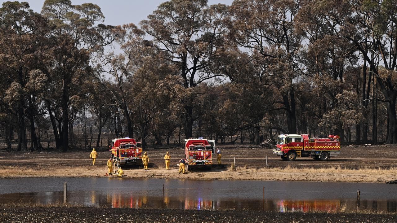 Firefighters and trucks