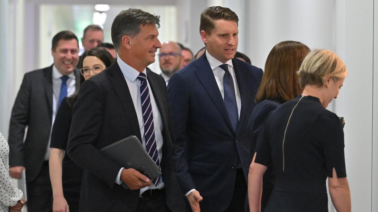 Angus Taylor and Andrew Hastie (file image)