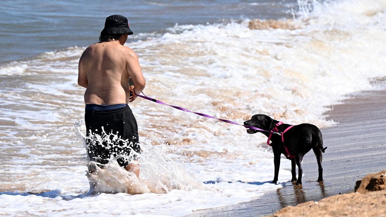 A man and his dog (file image)