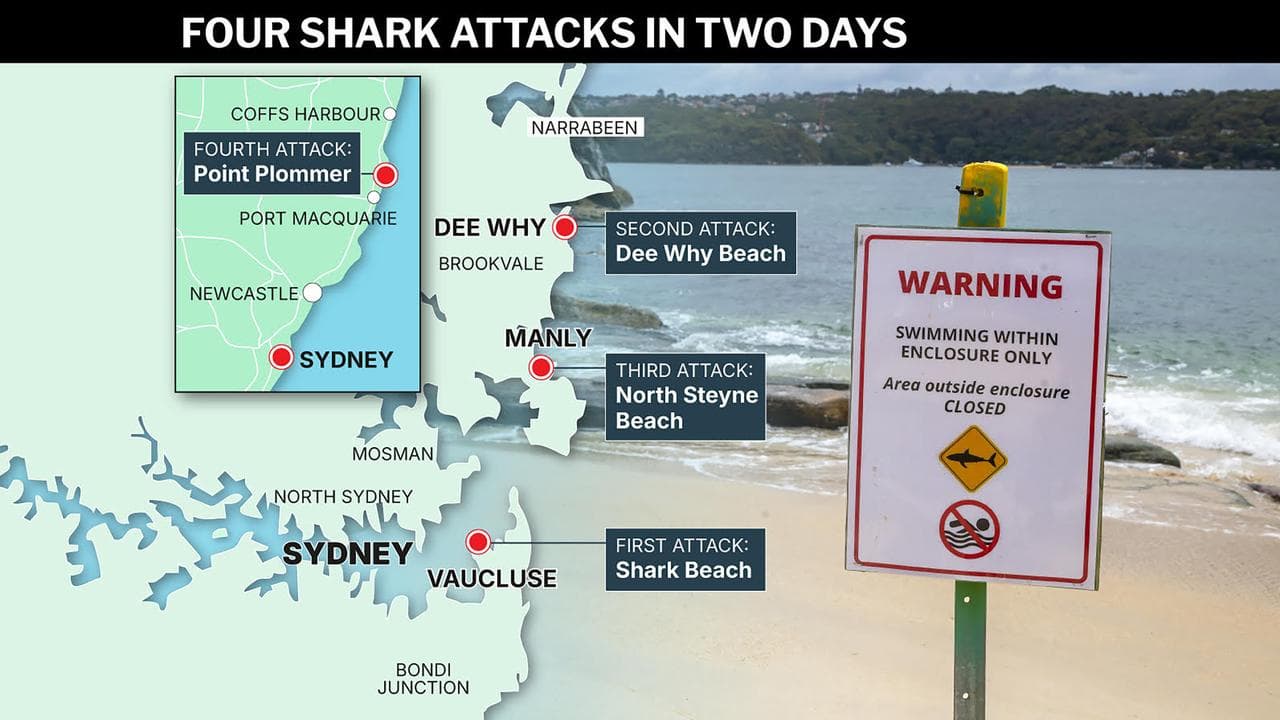NSW shark attacks