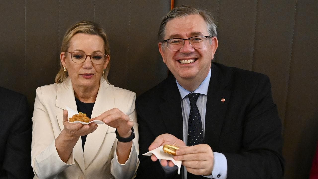 A file photo of Sussan Ley and Paul Scarr 