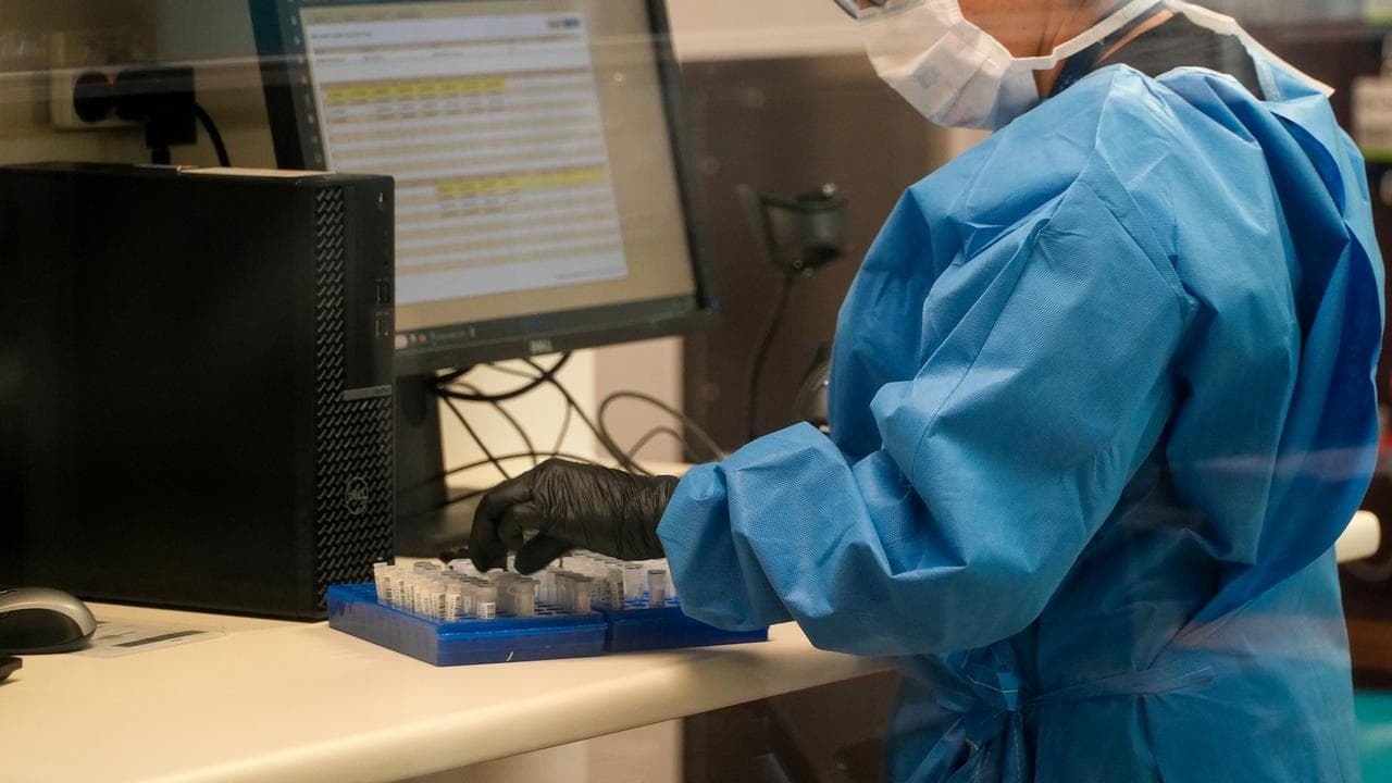 Forensic Science QLD staff processing DNA (file)