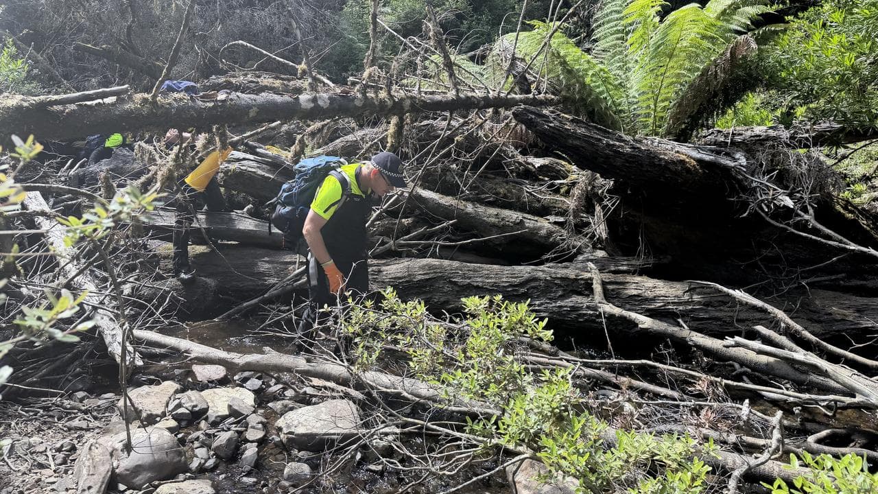 Search at Arthur River for missing hiker Celine Cremer.