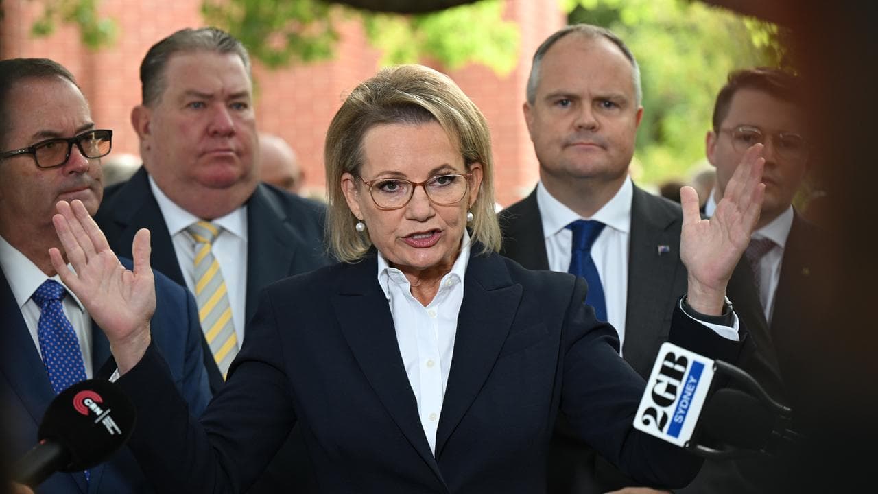 Liberal leader Sussan Ley