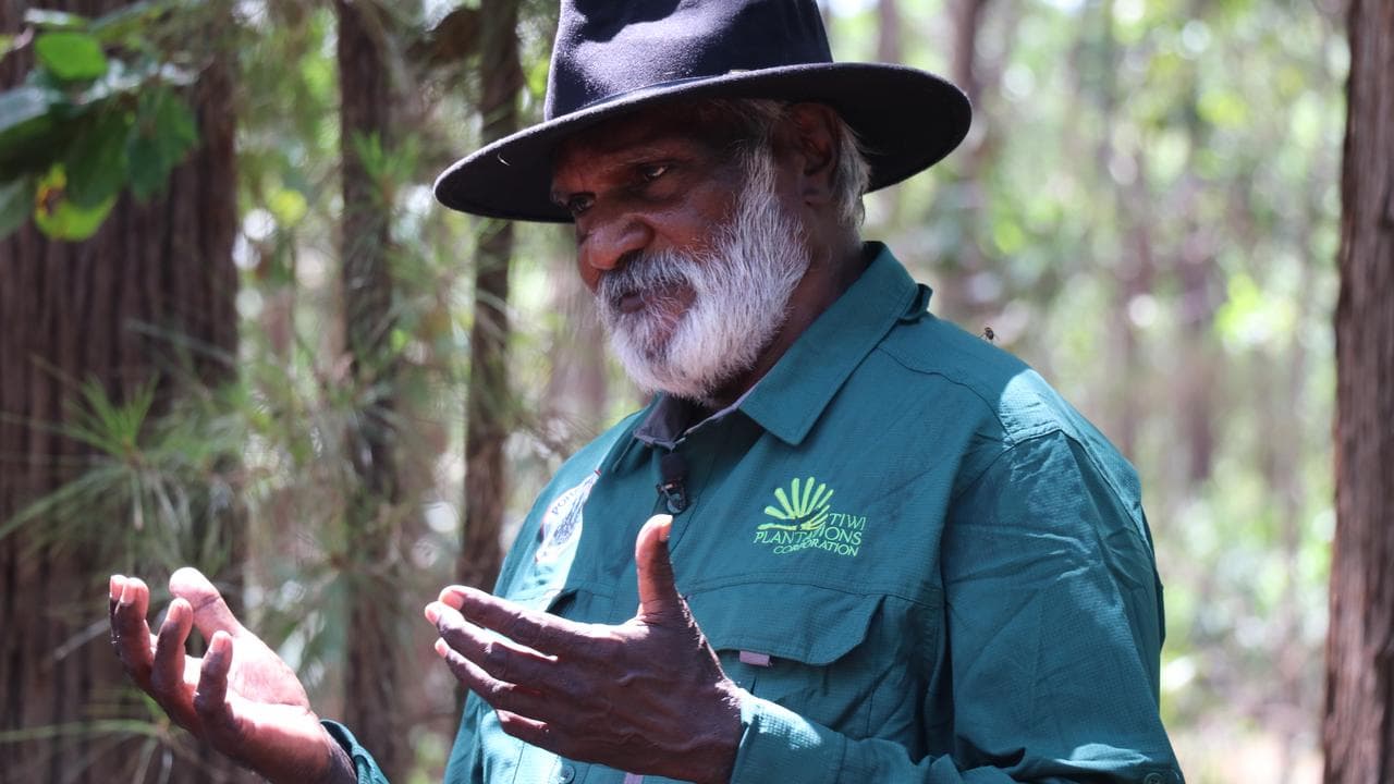 Tiwi Plantations Corporation chair Kim Puruntatameri