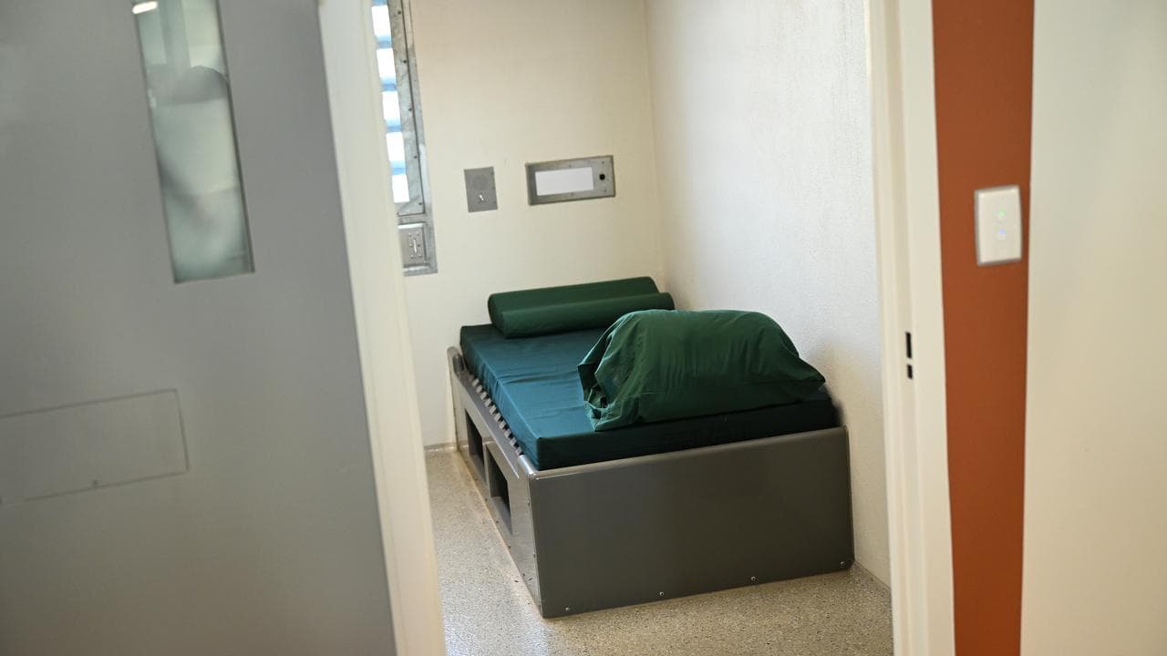 A file photo of a cell