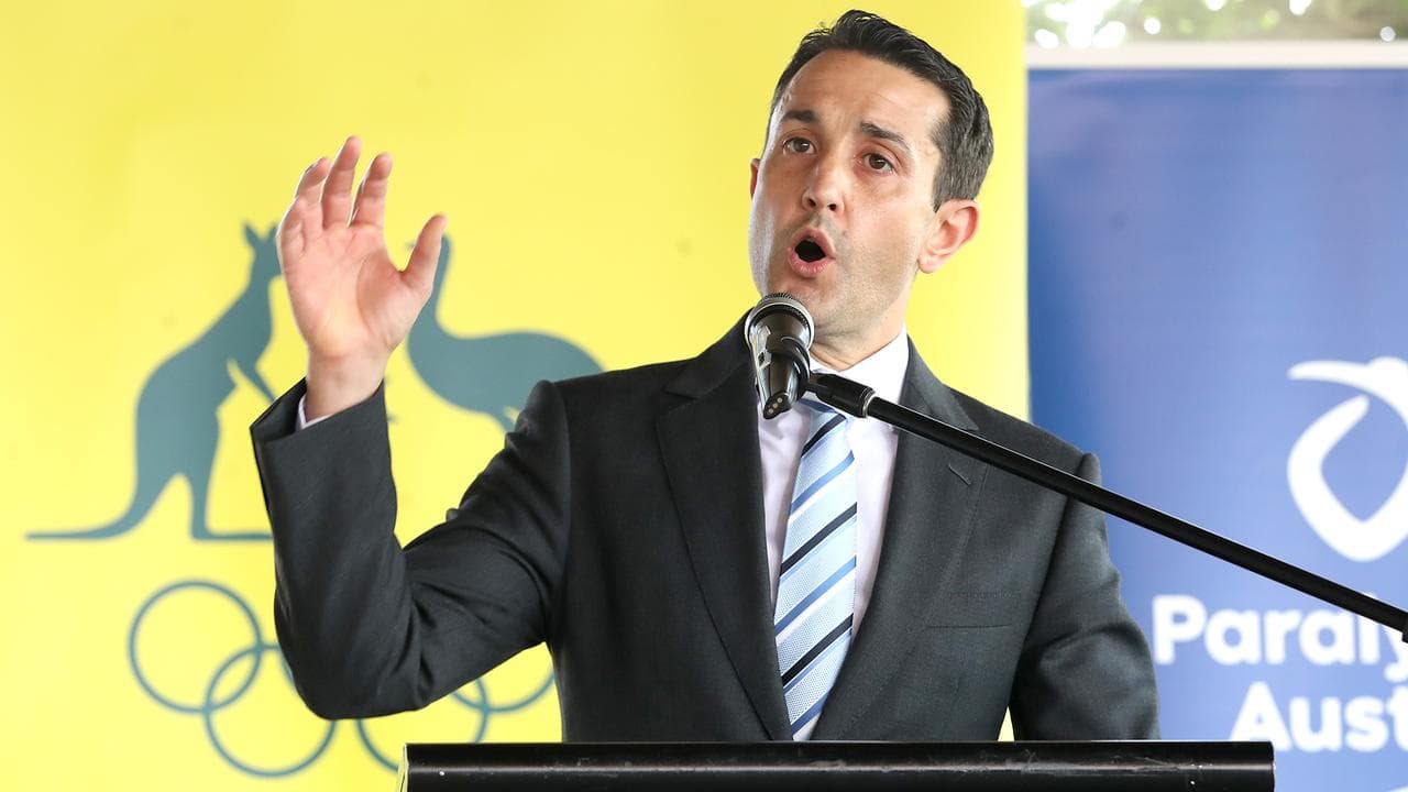 David Crisafulli (file image)