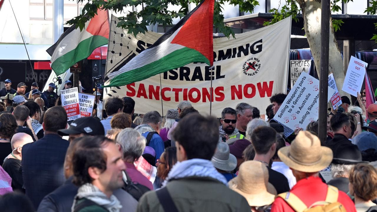 Pro-Palestinian protesters