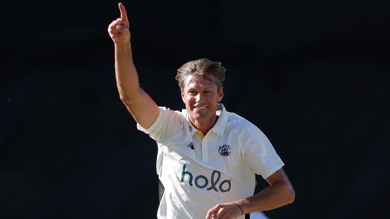 WA's Cameron Gannon picked up another three Tassie scalps.