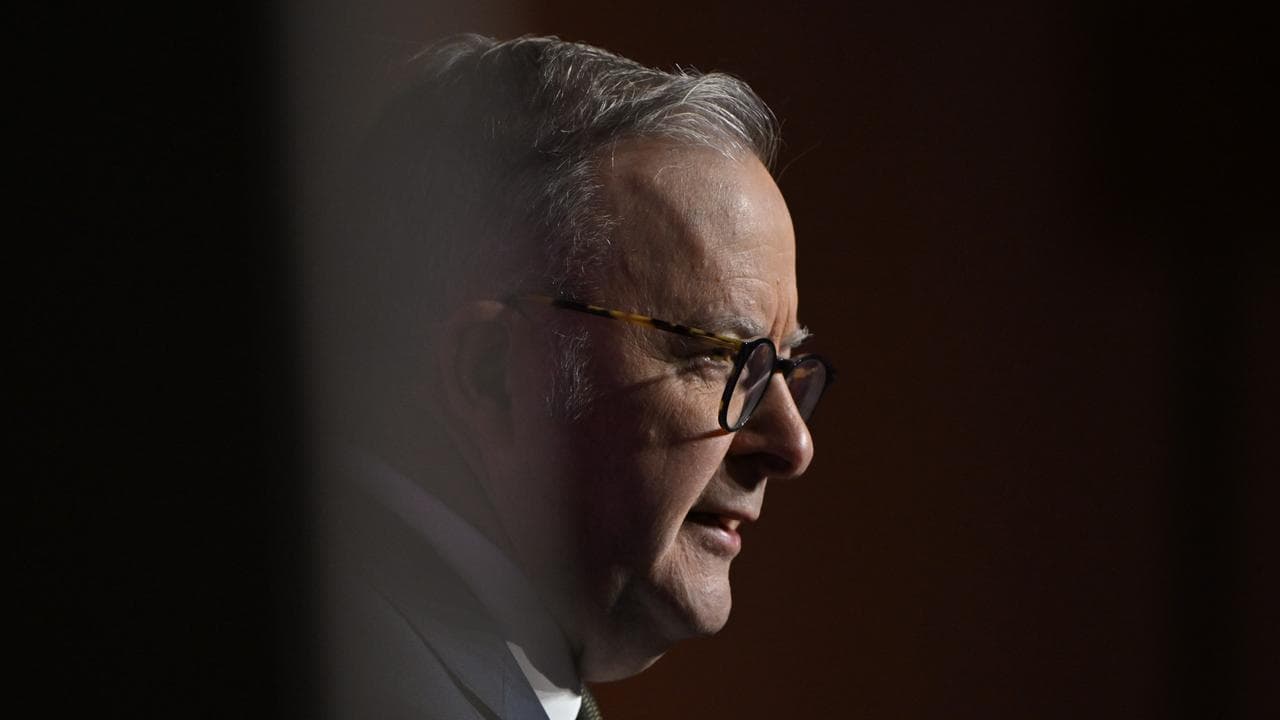 Prime Minister Anthony Albanese (file image)