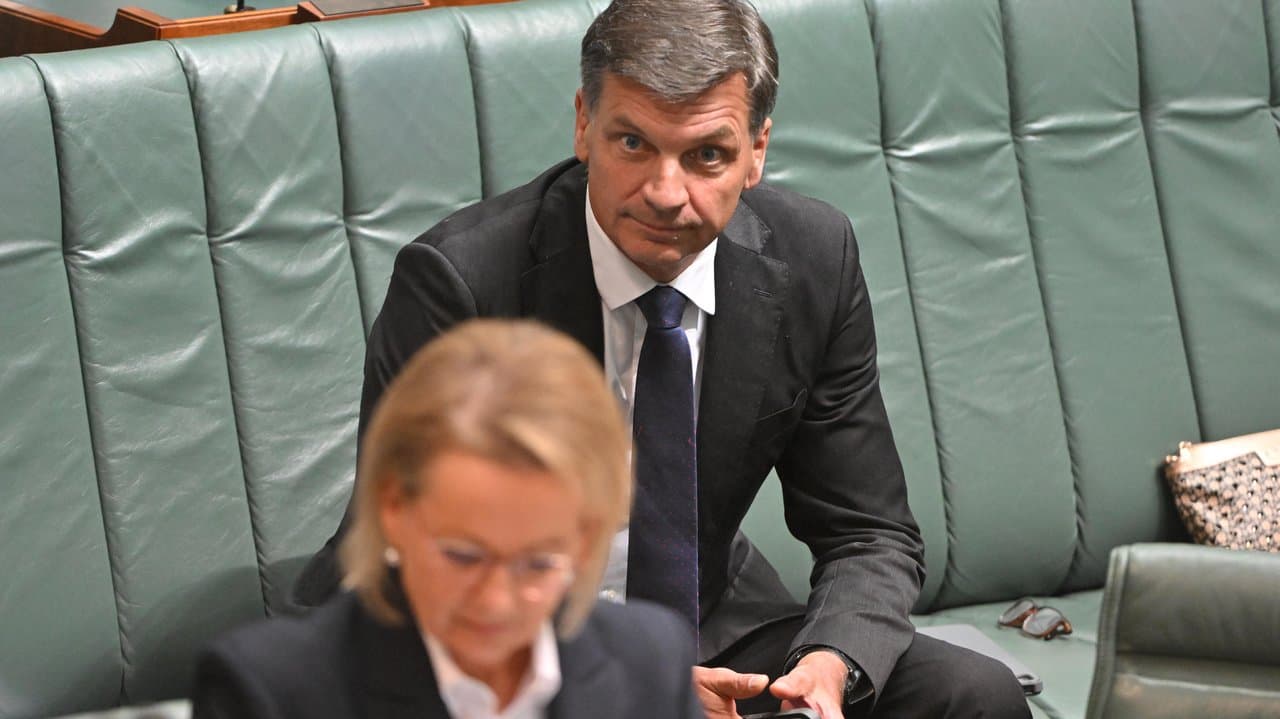 Sussan Ley and Angus Taylor
