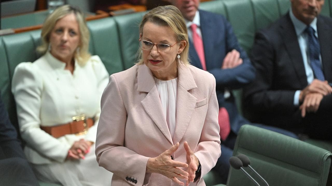 Opposition Leader Sussan Ley (file image)
