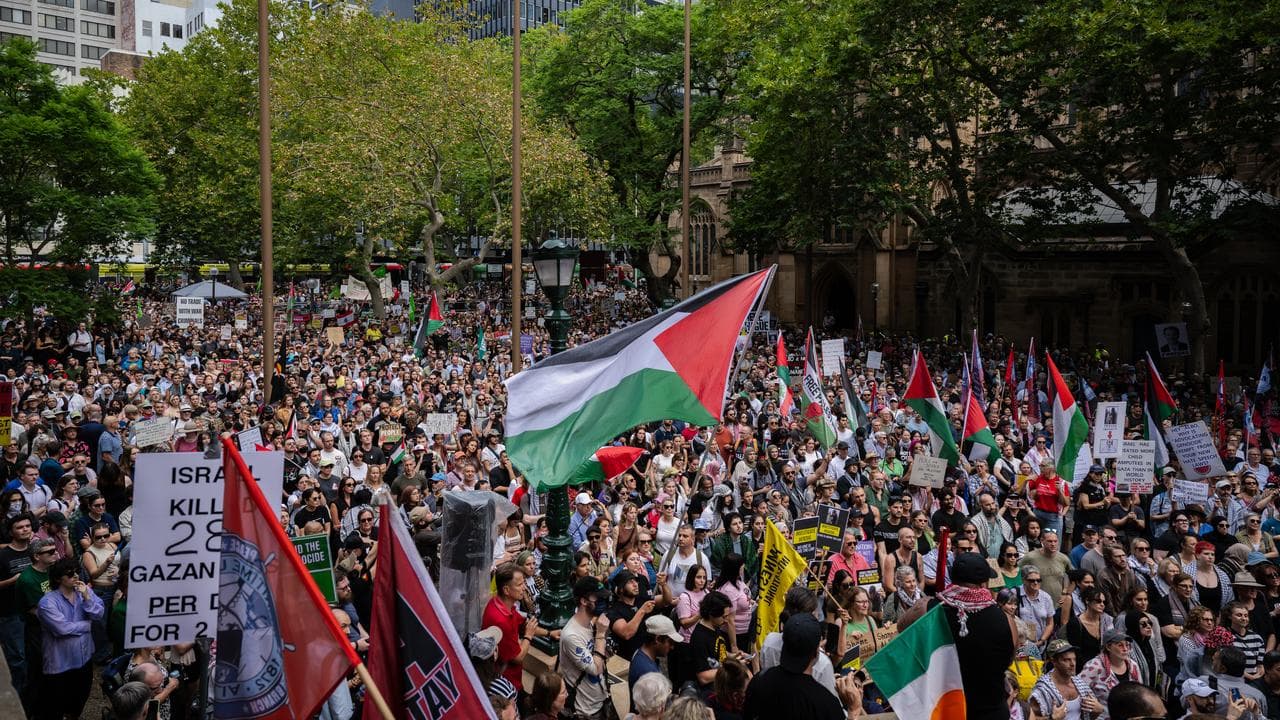 Pro Palestine demonstrators during a protest at Sydney's Town Hall