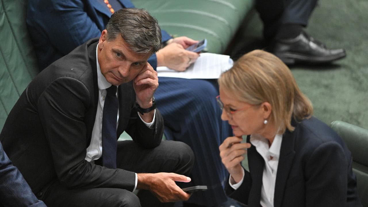 Angus Taylor and Sussan Ley