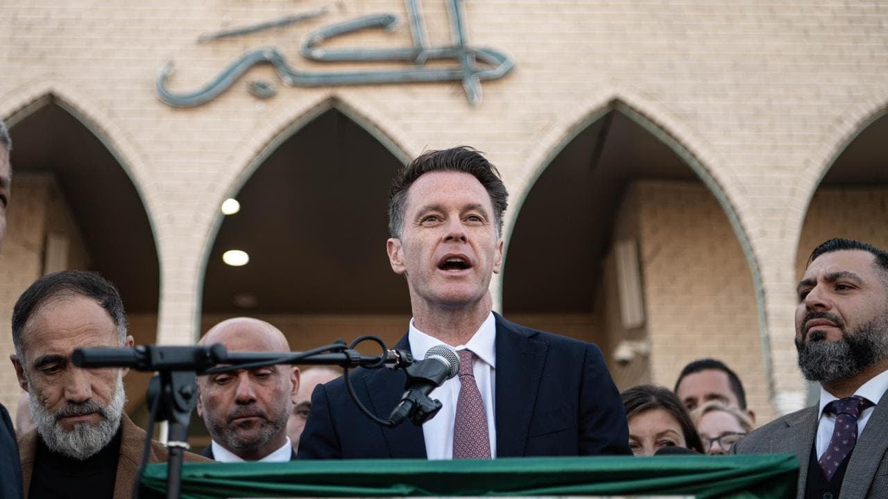 NSW Premier Chris Minns (file image)