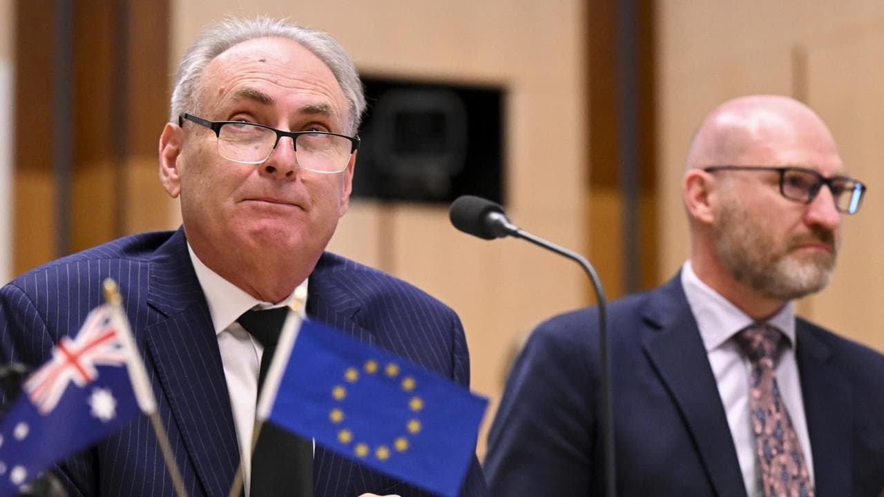 Trade Minister Don Farrell, delegates of the EU Parliament Committee