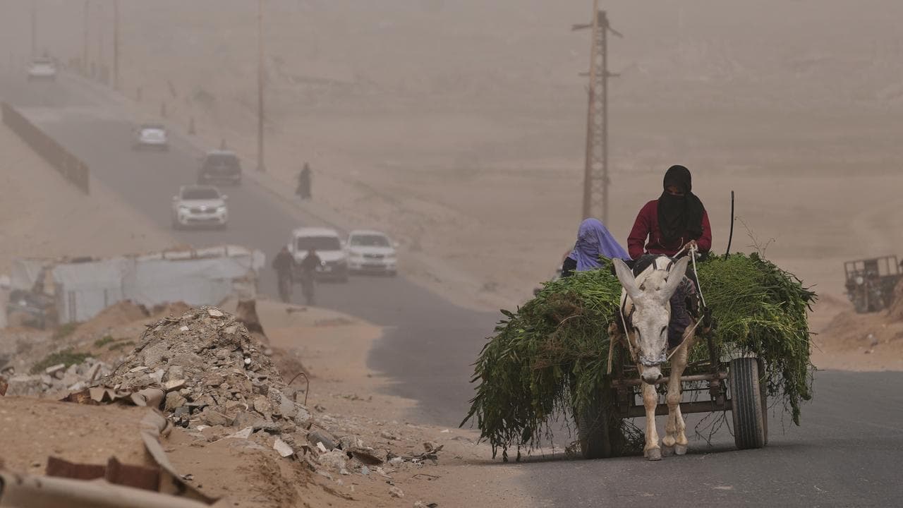 Palestinian women ride a donkey cart