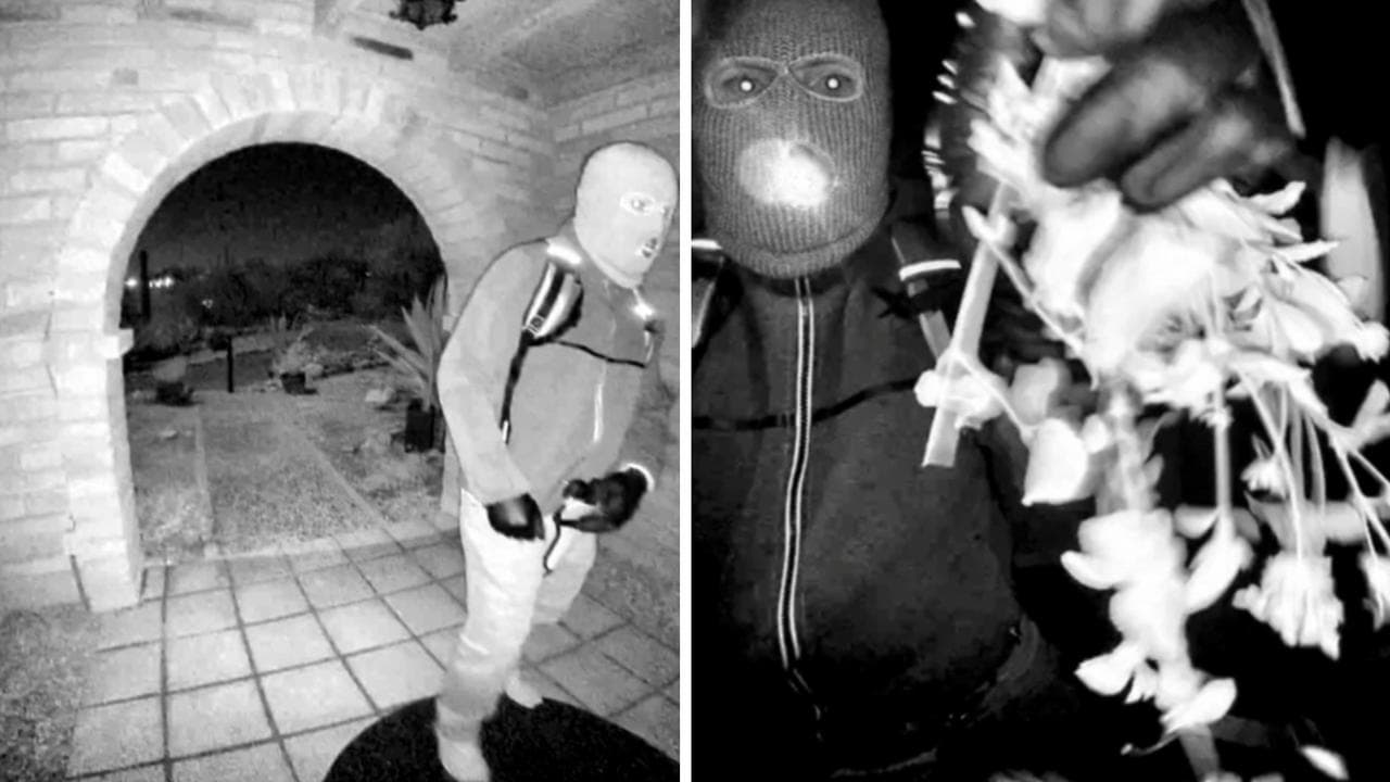 Surveillance footage at the home of Nancy Guthrie