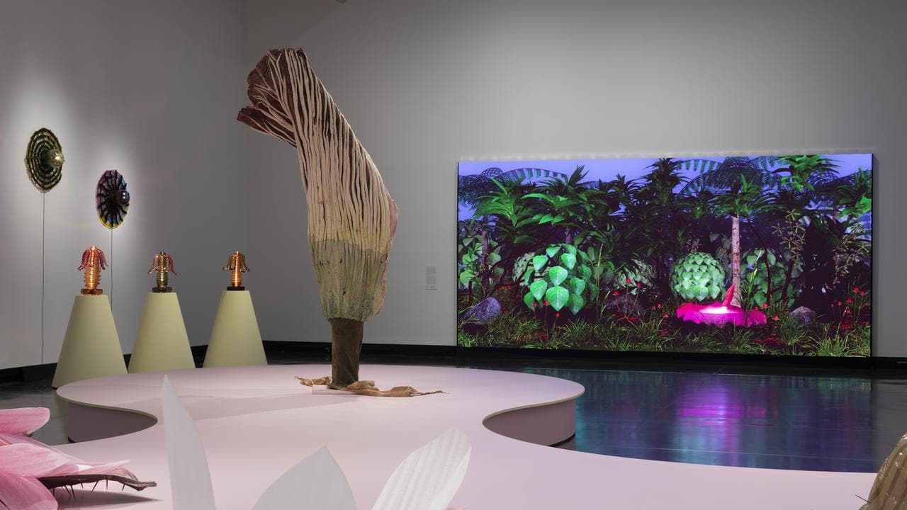 MELBOURNE POTTER MUSEUM INSTALLATION