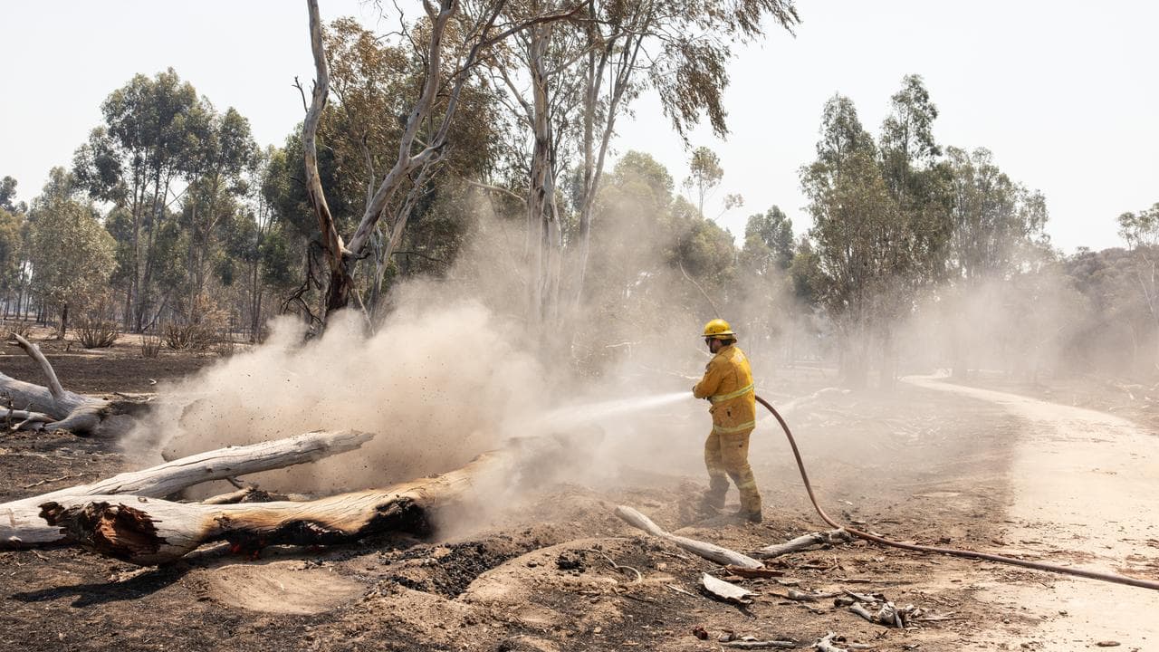 A CFA firefighter tackles a bushfire.