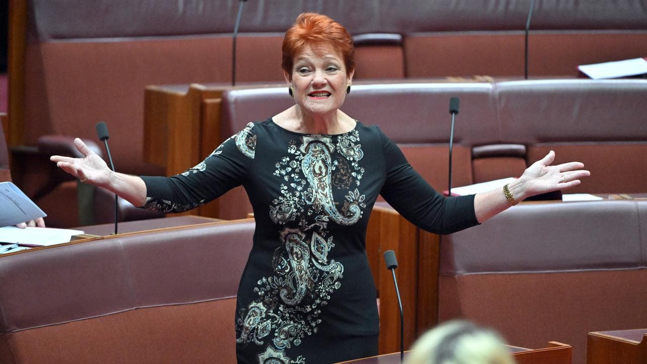 One Nation Leader Pauline Hanson (file image)