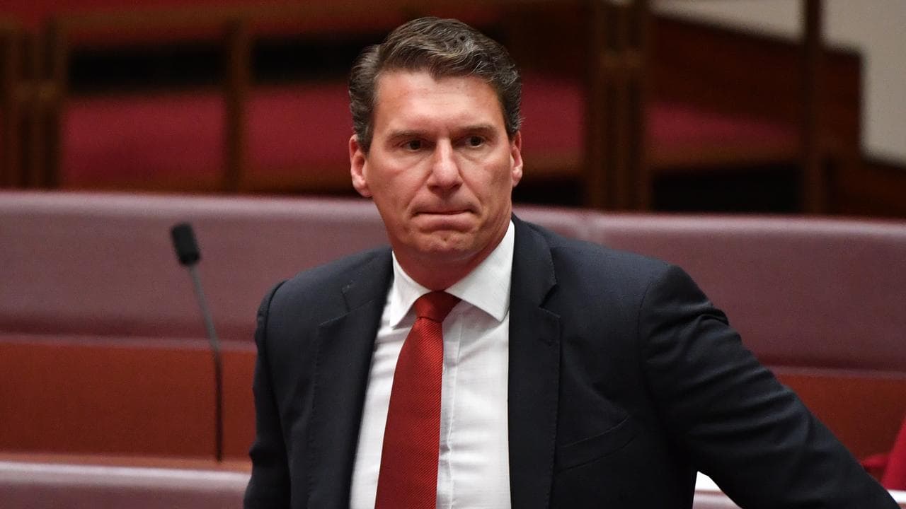 Cory Bernardi (file image)