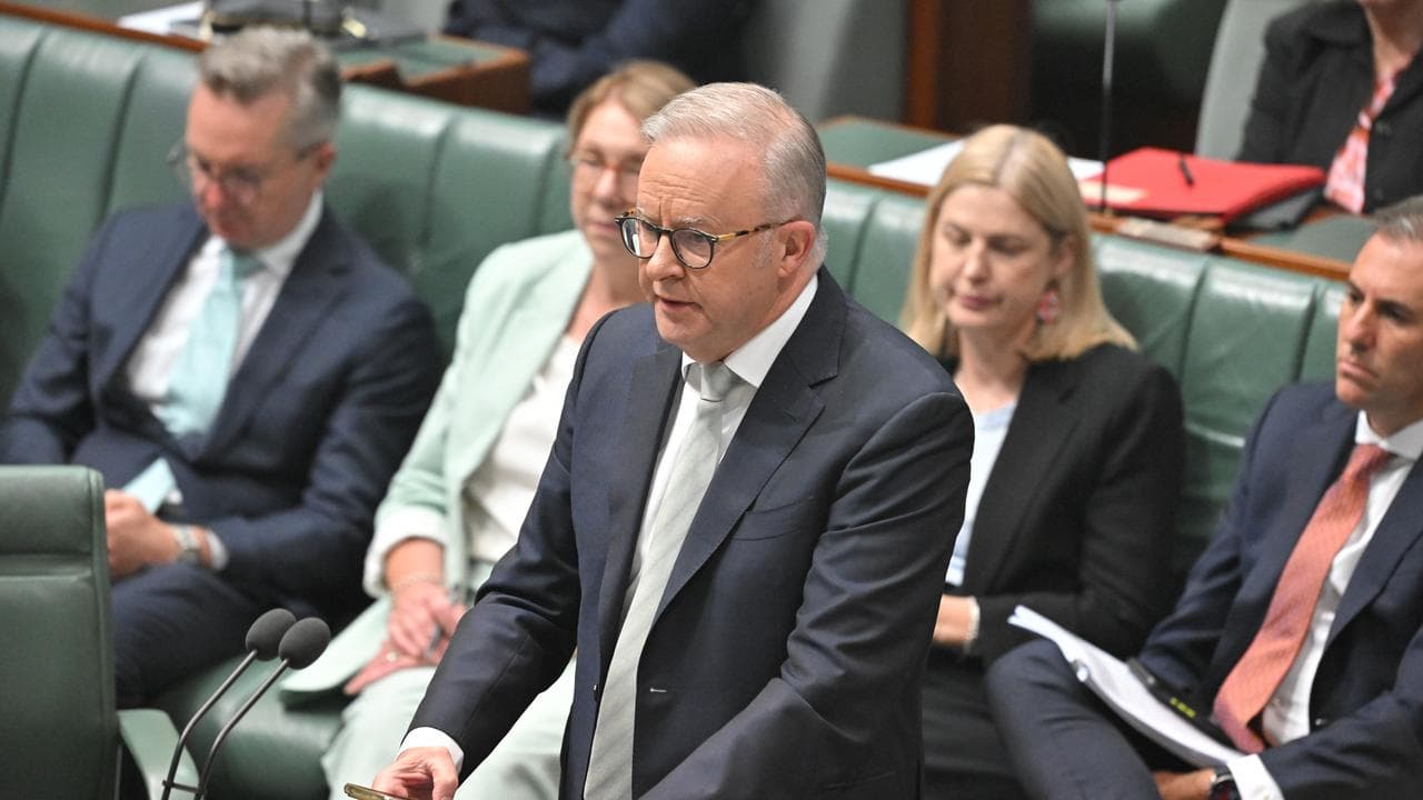 Anthony Albanese (file)