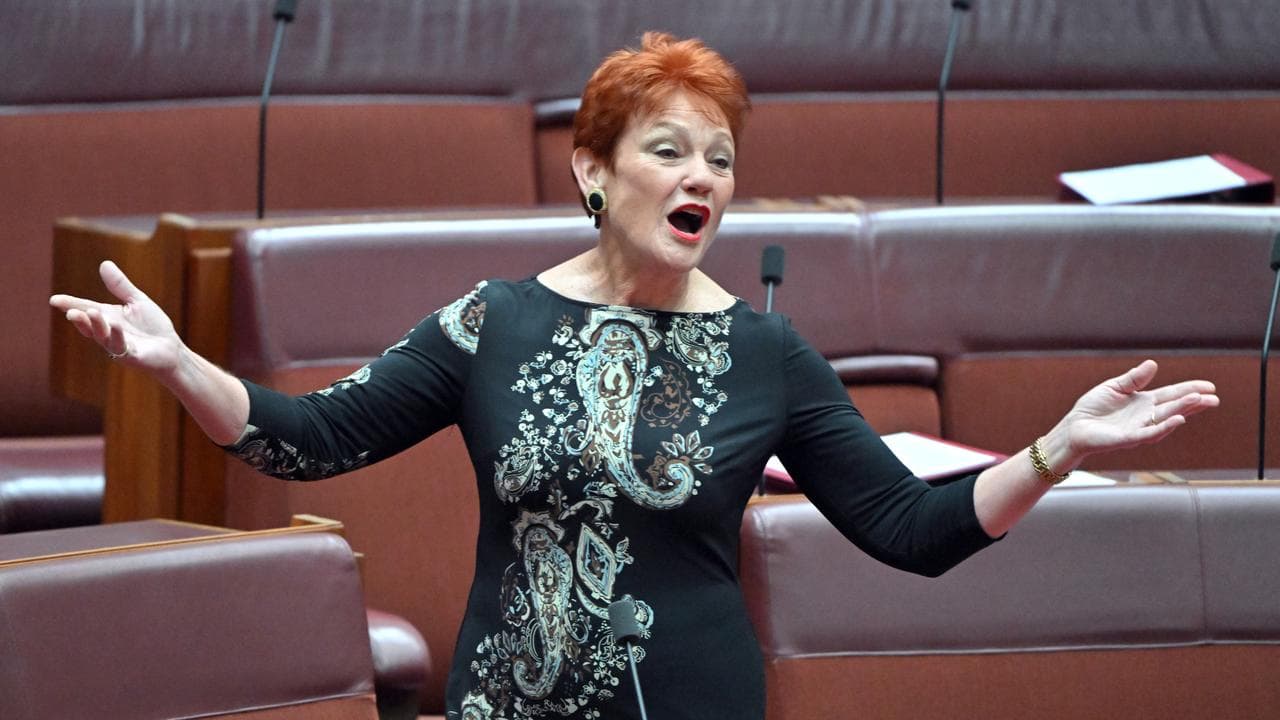 One Nation leader Pauline Hanson (file image)