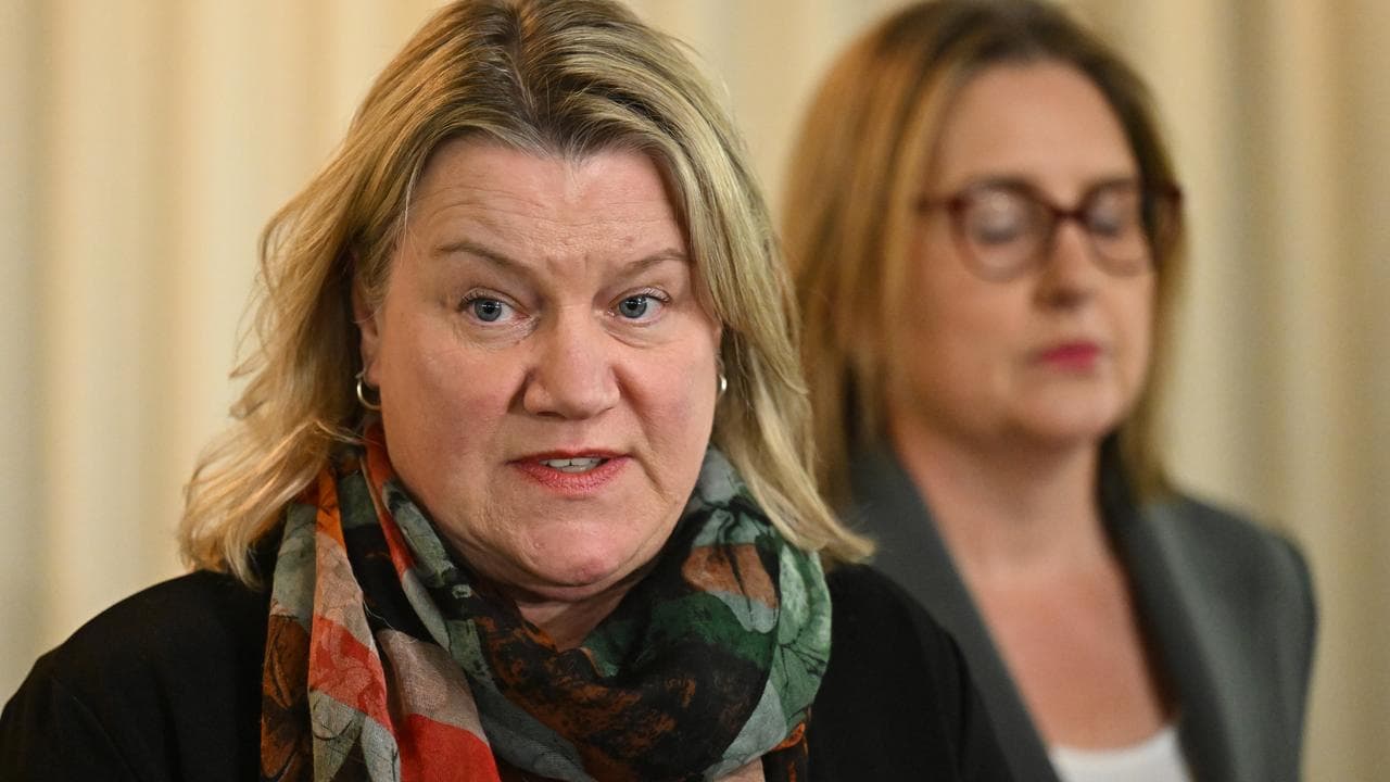 Minister for Multicultural Affairs Ingrid Stitt