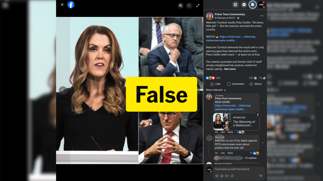 A screen shot of the false post about Peta Credlin.