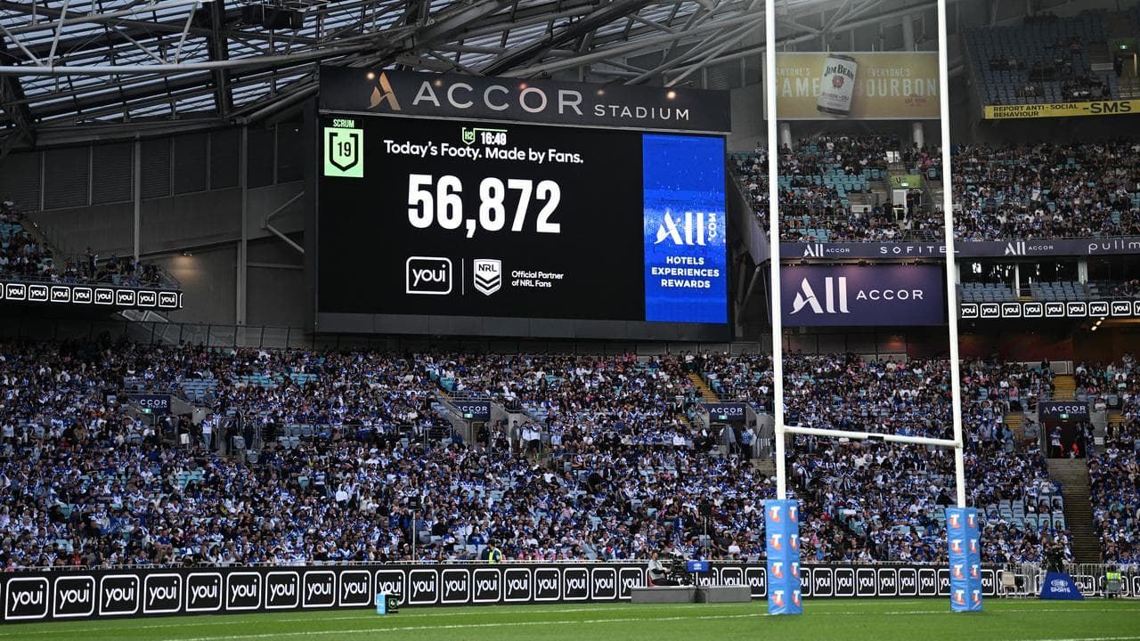 Canterbury Bulldogs fans.