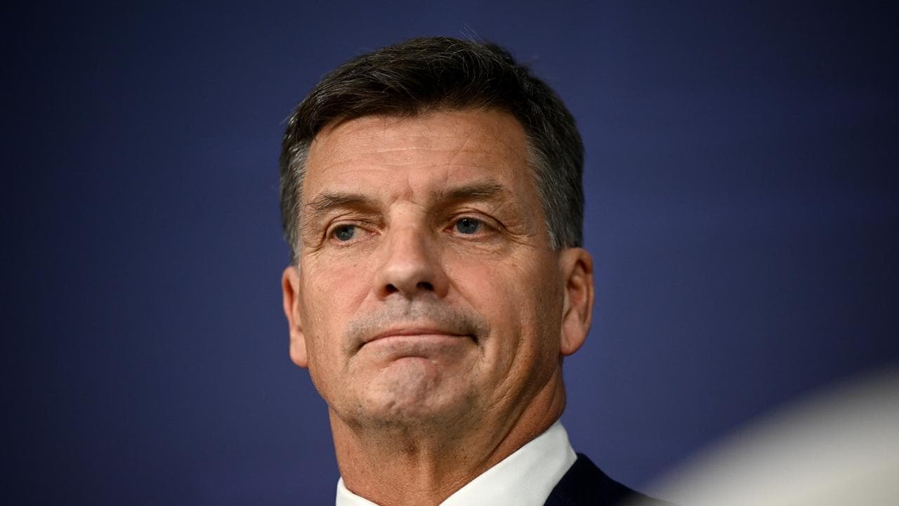 Opposition Leader Angus Taylor