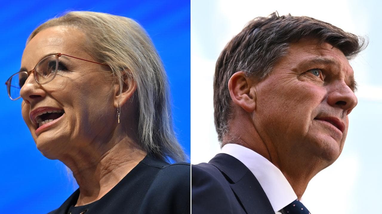 Sussan Ley and Angus Taylor (file images)