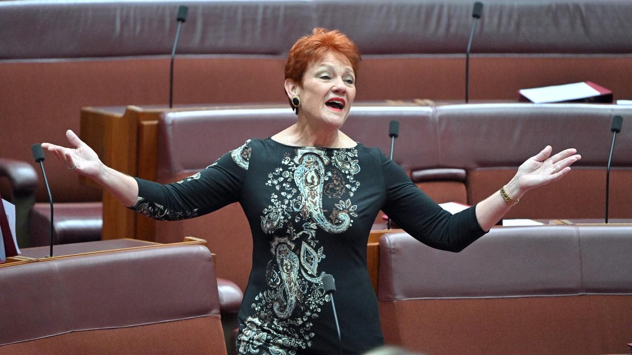 One Nation leader Pauline Hanson