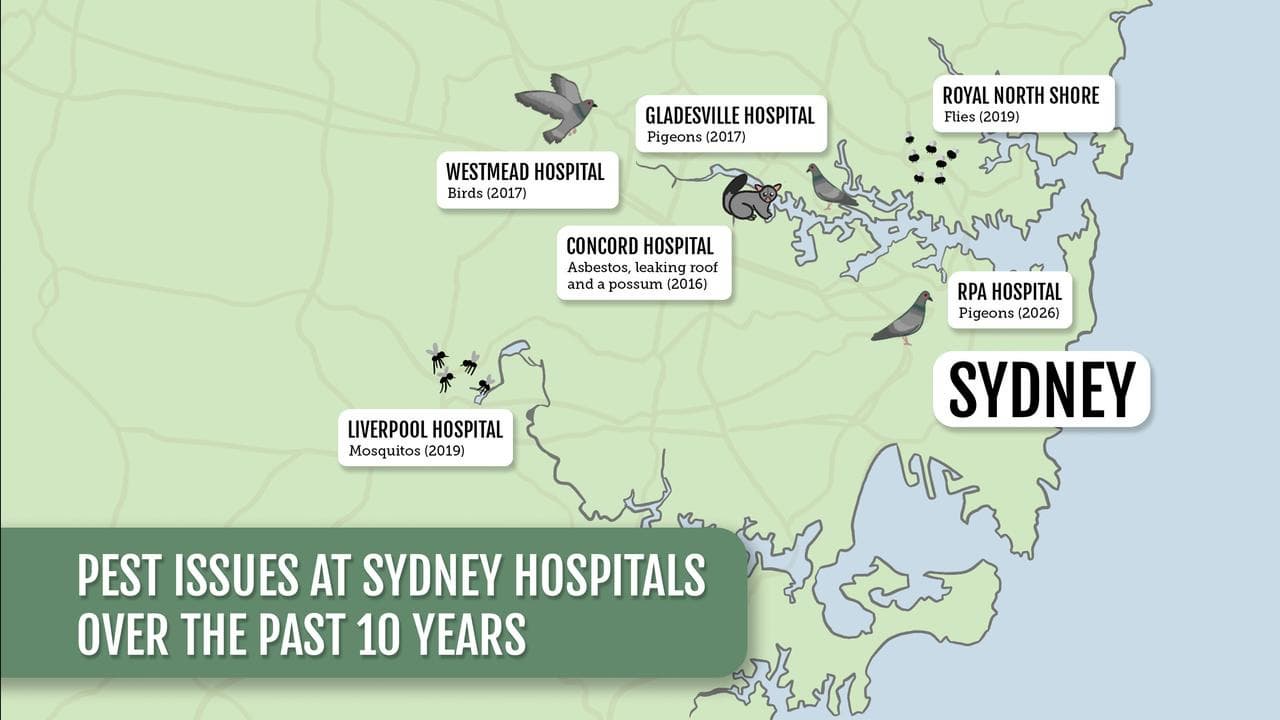 Sydney hospitals graphic
