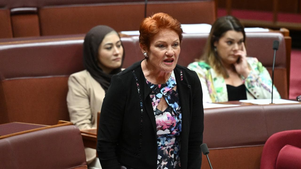 One Nation leader Pauline Hanson