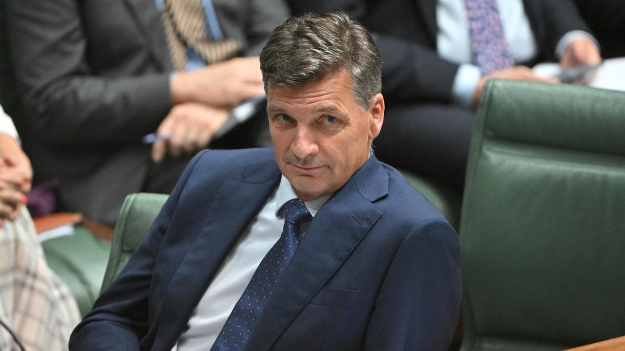Leader of the Opposition Angus Taylor during Question Time.