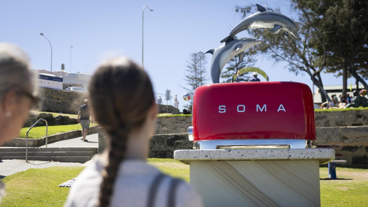 SOMA by Drew McDonald at Sculpture by the Sea in Perth