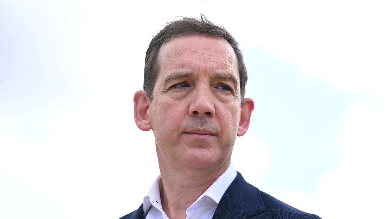 Victorian Environment Minister Steve Dimopoulos (file image)