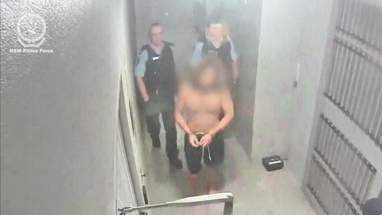 Zayne McMillan's arrest (file)