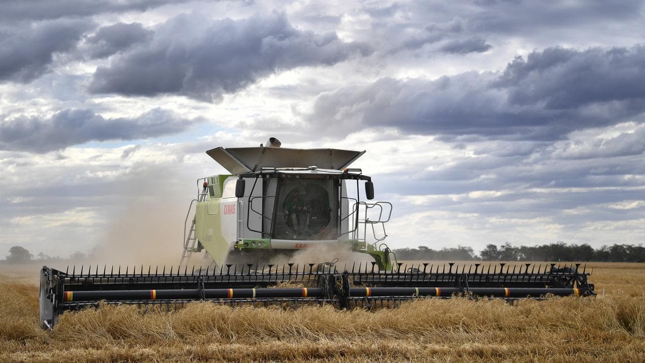 Wheat harvest on a property near Moree, NSW