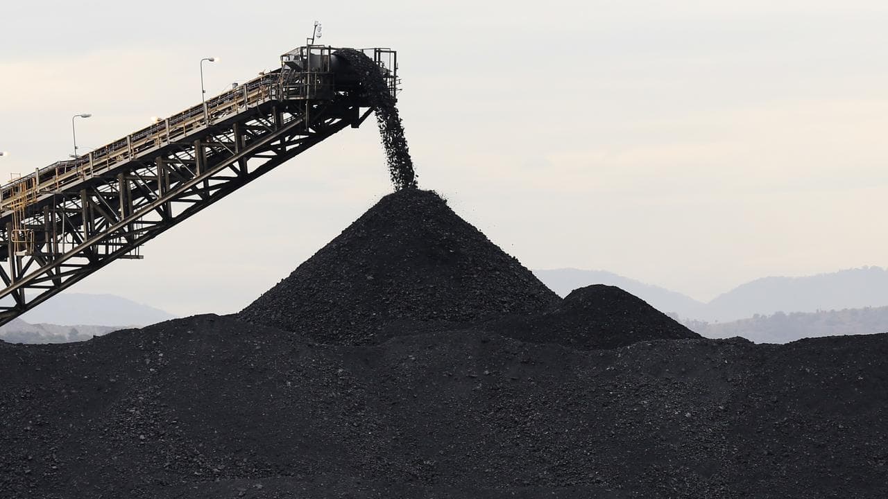 Coal being stockpiled (file image)