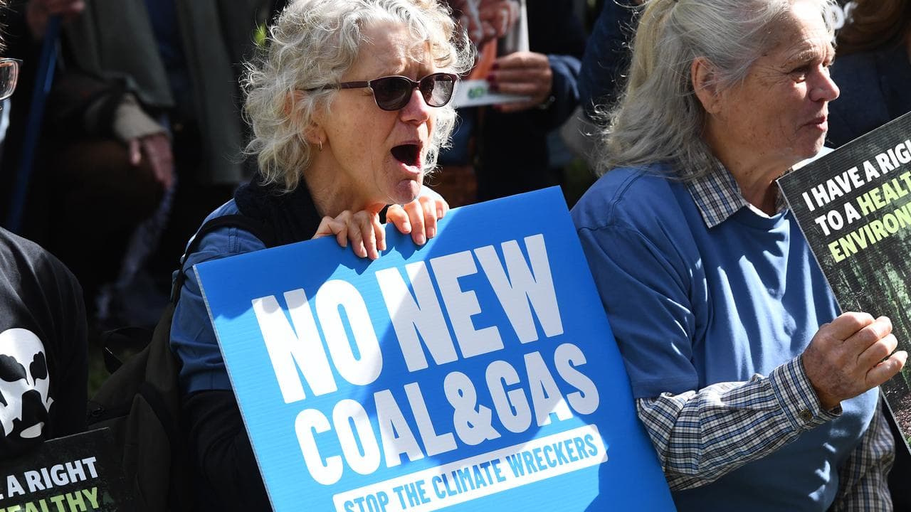 Environmental protesters (file image)