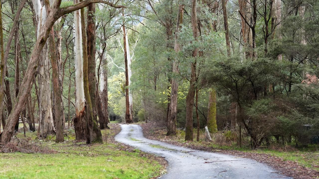 The property believed to be where Dezi Freeman shot two police