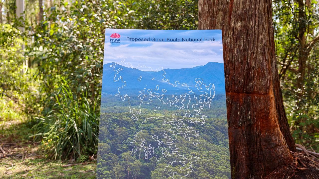 A Geat Koala National Park booklet (file)