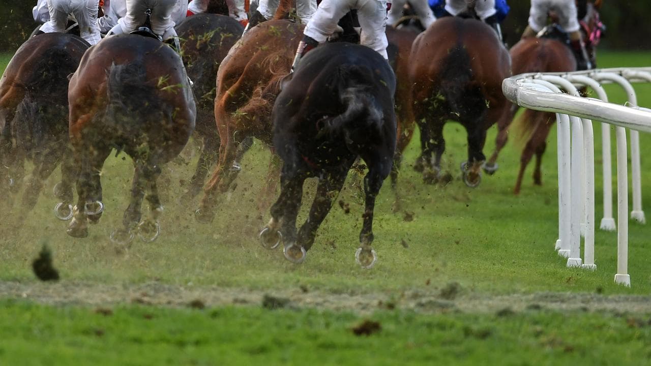 Horses racing at Doomben (file)