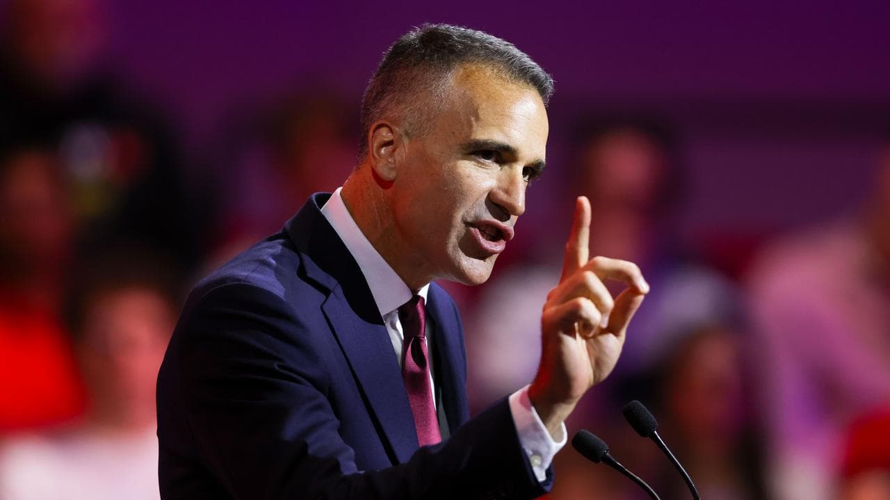 South Australian Premier Peter Malinauskas (file image)